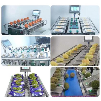 用于土豆、番茄和洋葱包装的自动手动托盘称重器定量组合秤