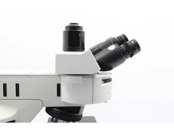 Olympus BX53 Fluorescence Motorized XY