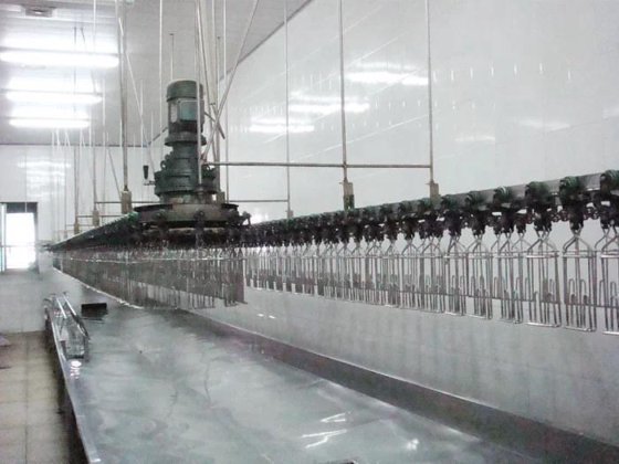 活禽自动宰杀机 鸡屠宰机 屠宰场设备和工具 肉类加工机