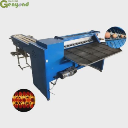 Automatic Egg Grading Machine Poultry