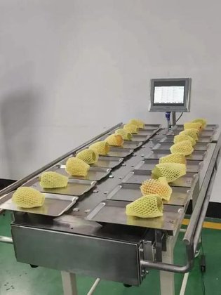 优质鱼片组合式 16 头称重器 手动皮带配重称重器