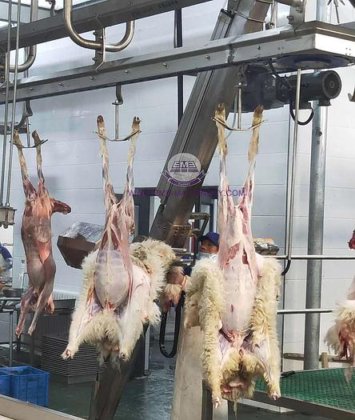 中国制造的优质山羊羔羊绵羊屠宰线机械设备