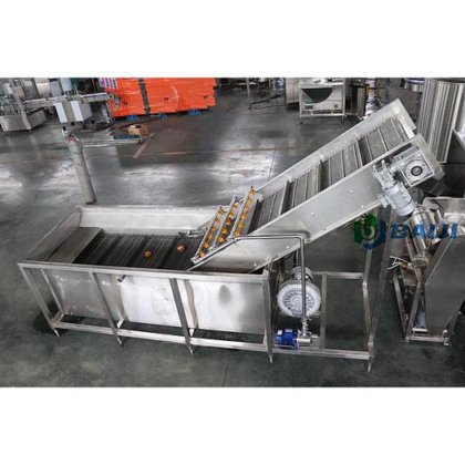 BAIJI 水果气泡清洗机设备