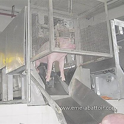 高生产率活猪三点脱毛机 用于生猪屠宰场的屠宰设备