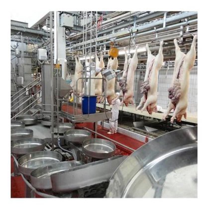 用于羊肉屠宰场的绵羊羊肉屠宰山羊脱毛机