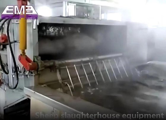 中国制造 工厂生产屠宰线机械用胴体烫毛罐（蒸汽加热）屠宰场加工设备