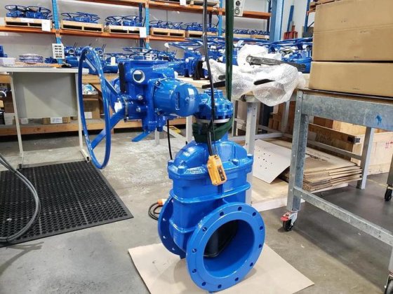 flowserve Limitorque MX