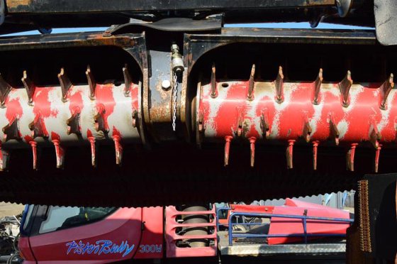 普里诺斯·莱特沃尔夫 (2013)