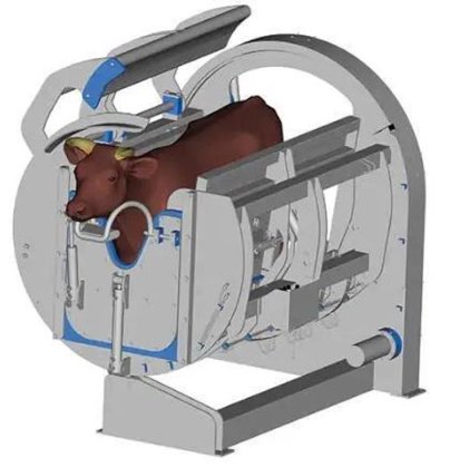 清真屠宰场设备 牛屠宰线 用于牛肉屠宰场机械的剔牛箱