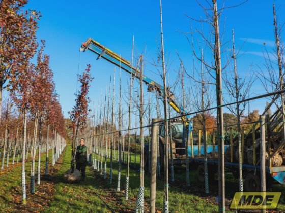 Gru di carico MDE 8700E4