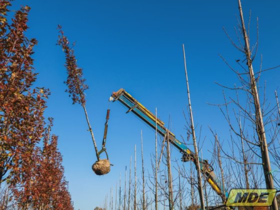 Gru di carico MDE 8700E4