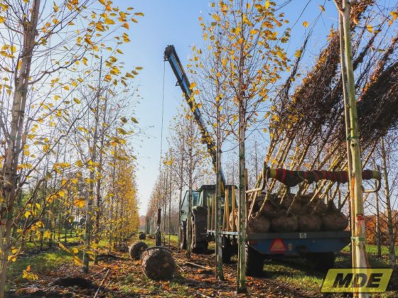 Gru di carico MDE 8700E4