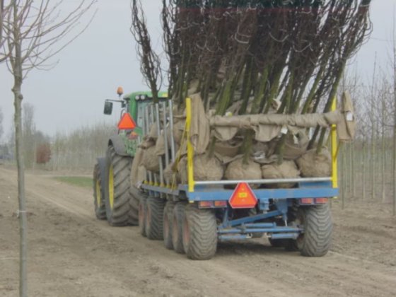 MDE Specials - Transport