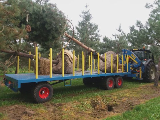 MDE Specials - Transport