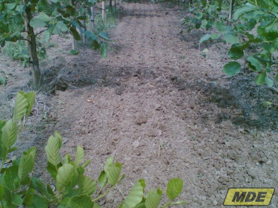 MDE Forigo Déchiqueteuse