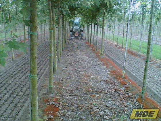 MDE Forigo Déchiqueteuse