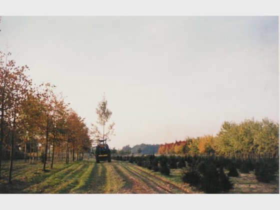 MDE Specials - Rooien met