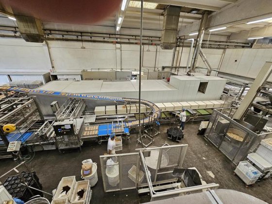 1998 MCS Leavening and baking