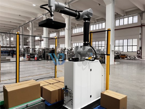 Fully Automatic Carton Box Palletizing Workstation Palletizer in ...