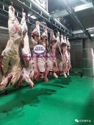 交钥匙工程 牛屠宰场设备 牛加工输送轨道系统机器