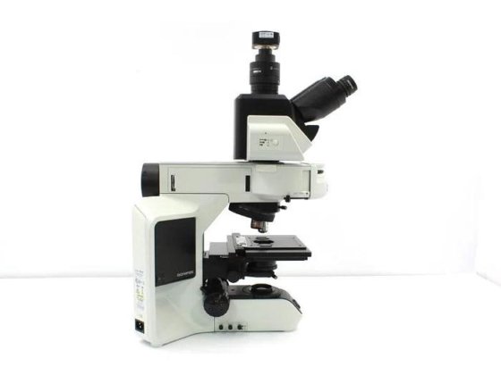 Olympus BX53 Upright Fluorescence Microscope
