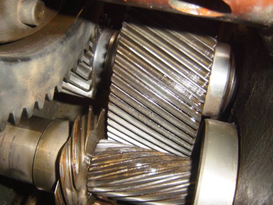 EXTRUSORA MONO ROSCA MIOTTO