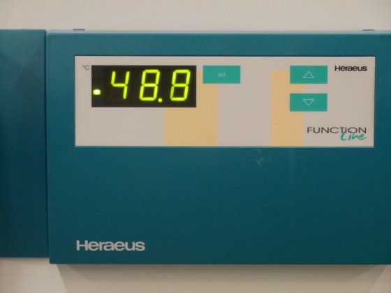 ヘレウスT型6号加熱乾燥炉