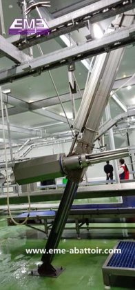 现代绵羊屠宰场屠宰线设备 绵羊脱毛机 山羊屠宰机