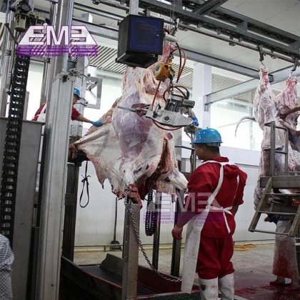 牛场设备 活牛体重秤 牛屠宰场设备 用于屠宰的设备