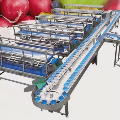 Fruit Sorting Packing Fruit Weight