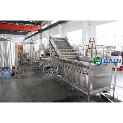 BAIJI 水果气泡清洗机设备