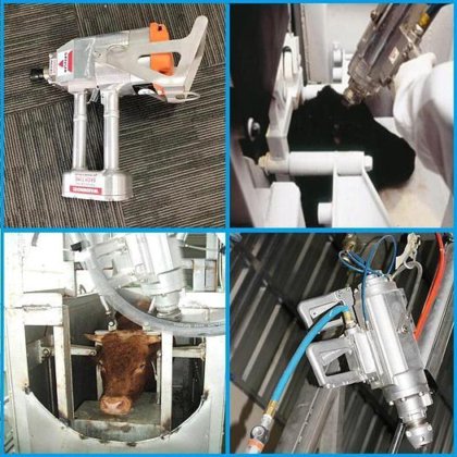 名为 "活牛气动枪 "的牛屠宰场设备