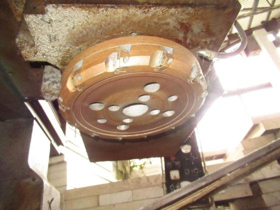 BERARDI LINE' 金桥