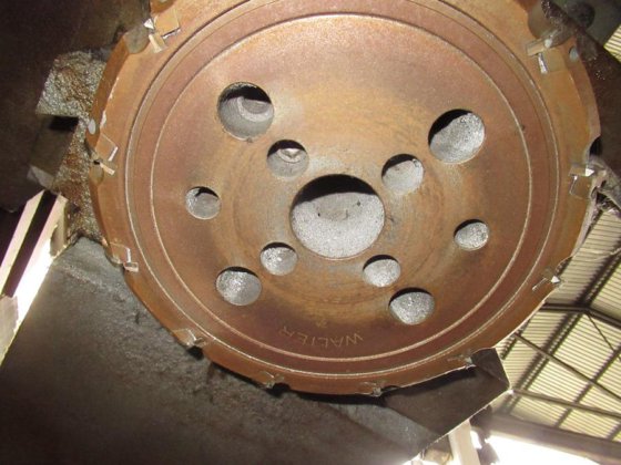 BERARDI LINE' 金桥