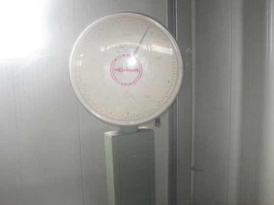 RAVIZZA PACKAGING 打包系统