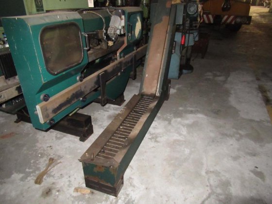 トルティ・サルゲーモ スワーフ コンベヤ