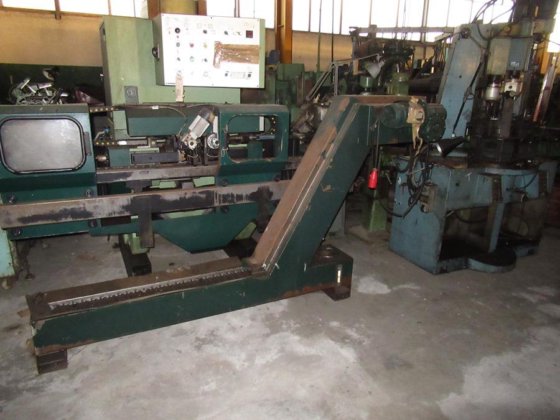 トルティ・サルゲーモ スワーフ コンベヤ