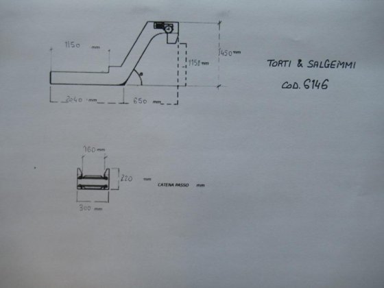 トルティ・サルゲーモ スワーフ コンベヤ