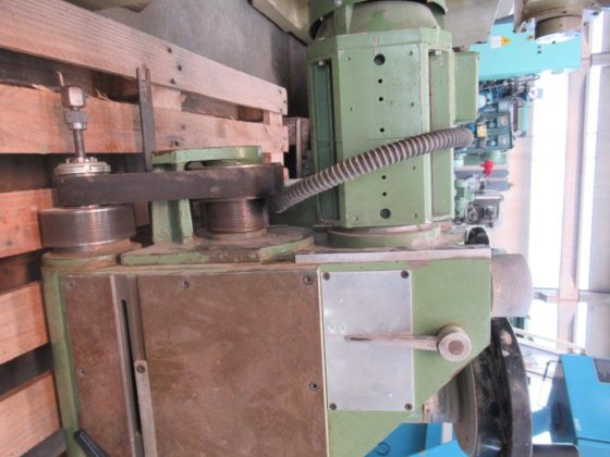 テスタ・ランドニオ・R