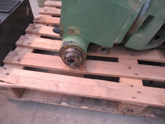 テスタ・ランドニオ・R