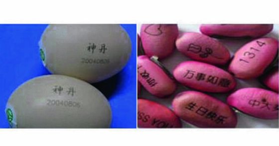 飞光纤激光打标雕刻机