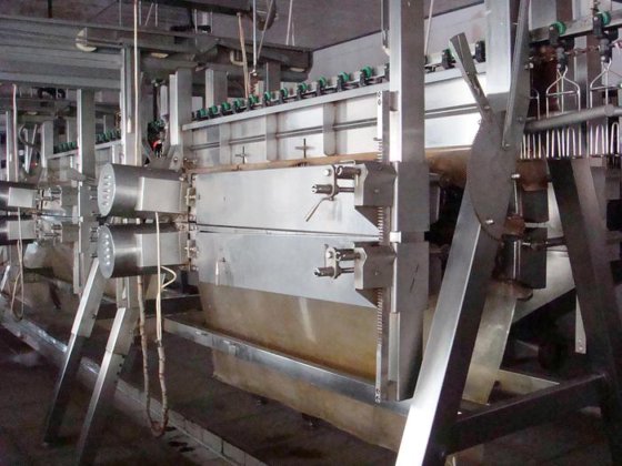 高生产率立式禽类胴体剔除机 用于鸡屠宰场设备屠宰场的屠宰设备