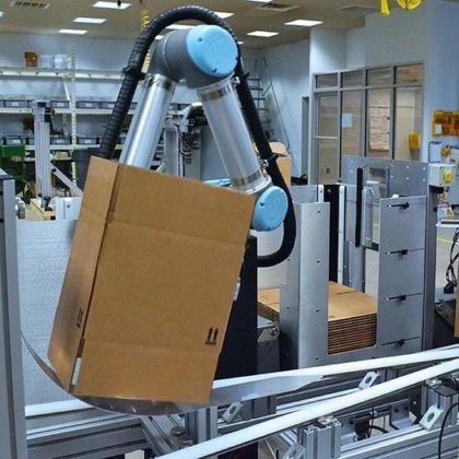 Packaging Line Load Handling Robot
