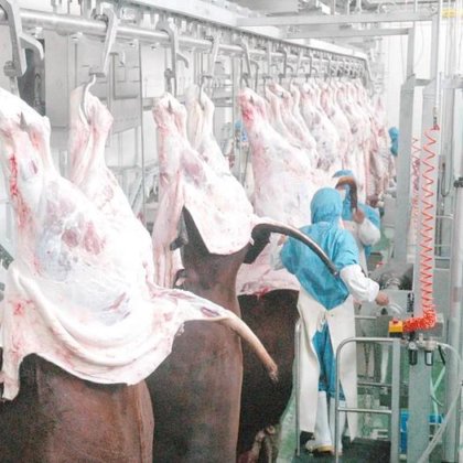 清真牛屠宰场机器 牛屠宰设备 用于牛肉屠宰场肉类加工机械的工艺输送轨道