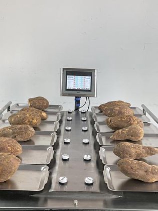 半自動手動の 12 の版はパッキング機械のための秤量機の重量を量るブドウのマンゴーの組合せを量ります