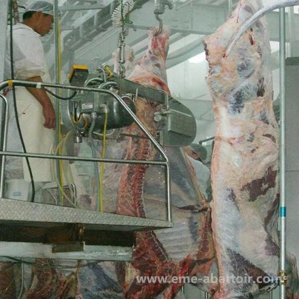 EME 牛屠宰场设备 牛屠宰场机械 整条牛屠宰线的半胴体带式分割锯