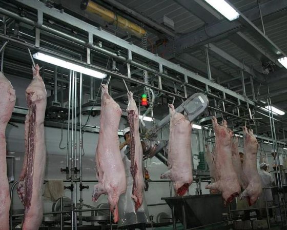 生猪屠宰场设备 屠体垂直分割机 生猪屠宰场冷库设备