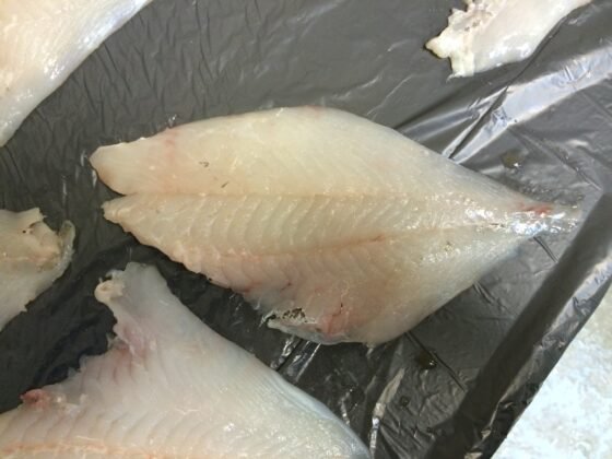 STEEN ST600V 自动去皮机--长