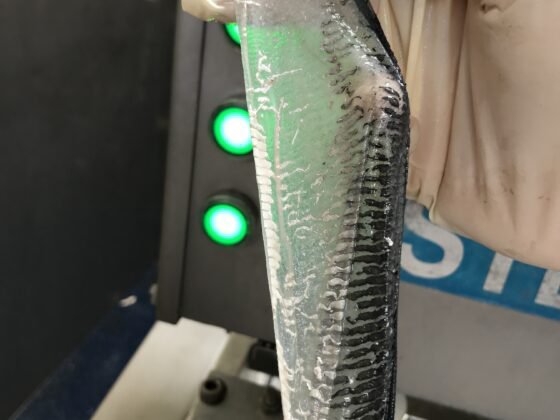 STEEN ST600V 自动去皮机--长