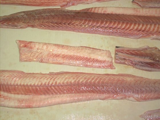 STEEN ST600V 自动去皮机--长